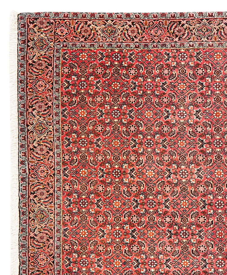 440121_212923e157b6cda9e4a2b5ddf7bc893240