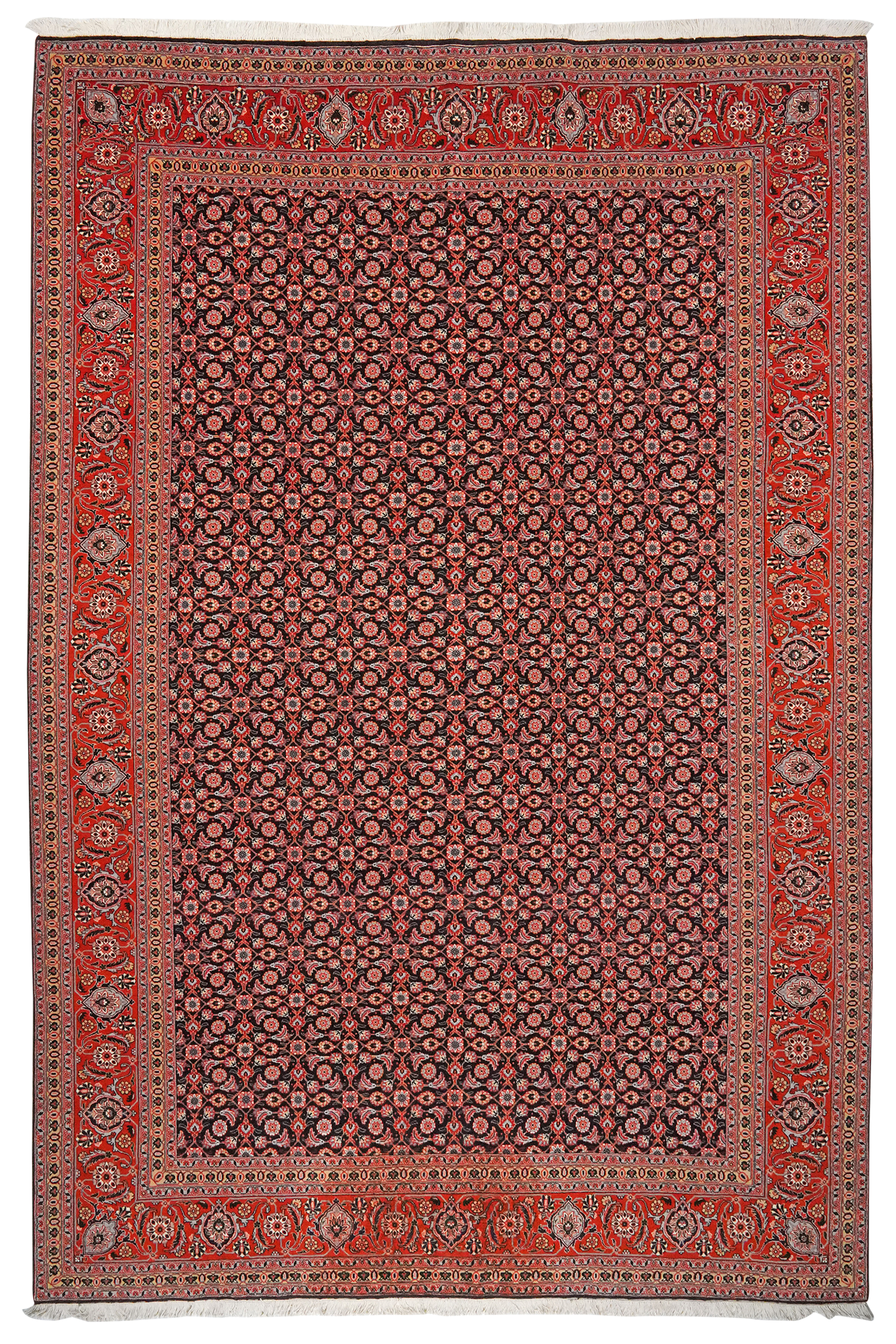 50枚限定 BROCHURE MIYOSHI RUG LANE BY SSZ SW-005 Shiomi Wada × MIYOSHIRUG 