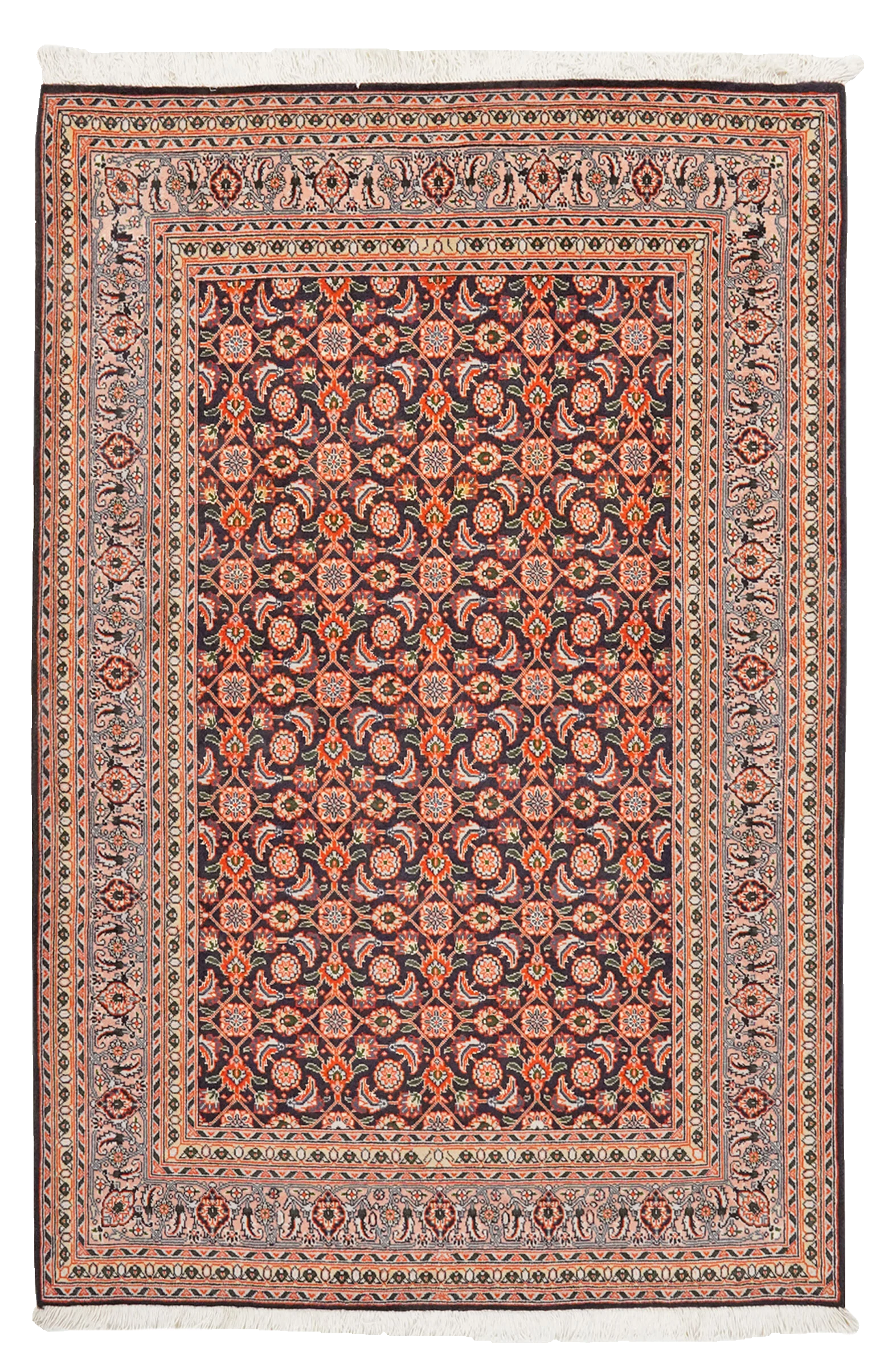 Tabriz 50 Raj