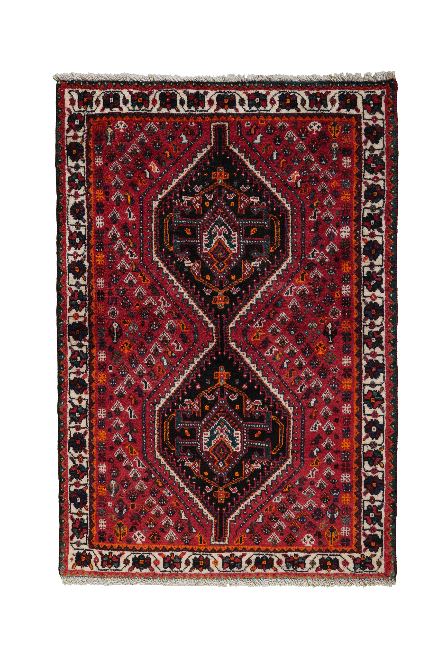 Shiraz