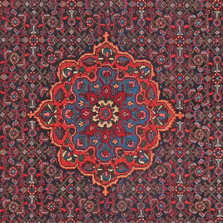 20196(3)