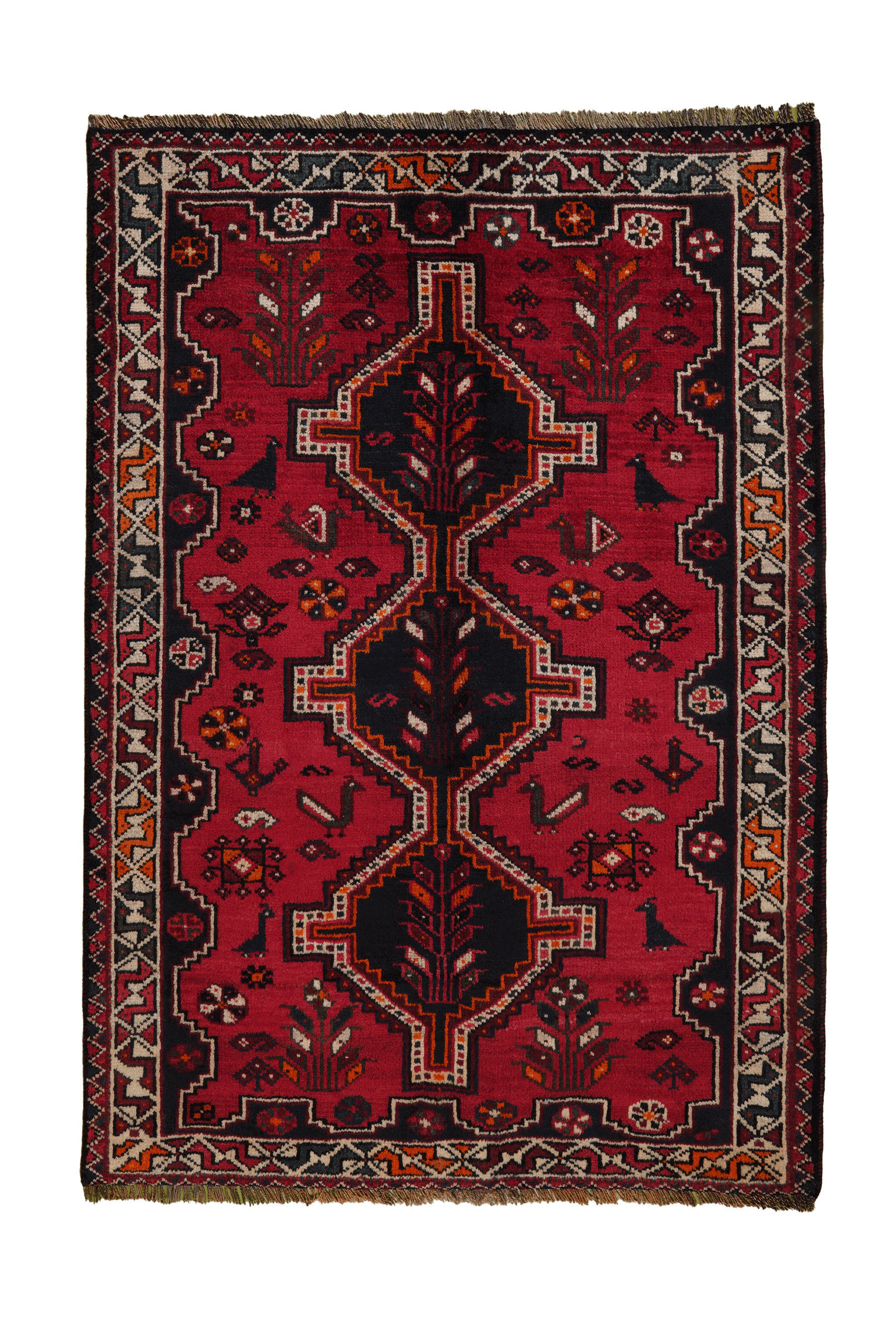 Shiraz