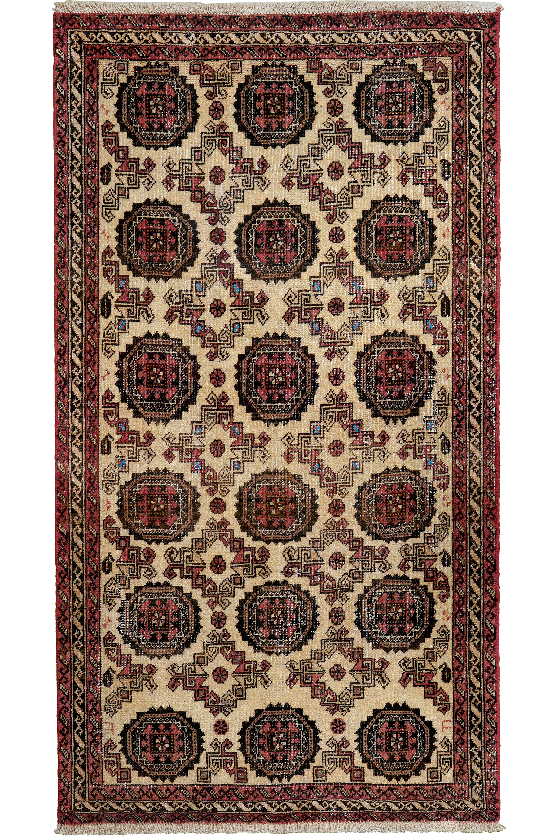 Shiraz